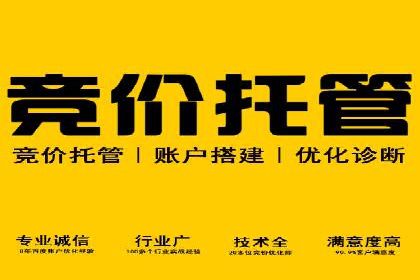 SEM公司案例研究：搜索引擎营销实战经验分享